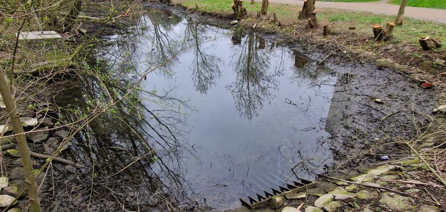oxbow lake of the Werse