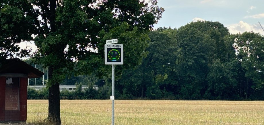 Speed display with smiley in Roland