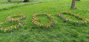 Bloeiende 800 in Marienpark