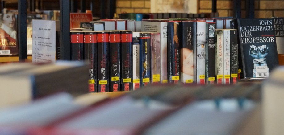 Bücherregal